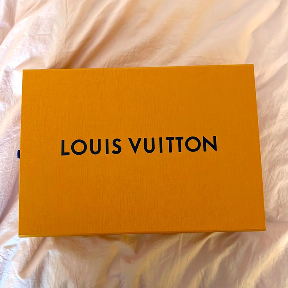 Louis Vuitton Shoe Box